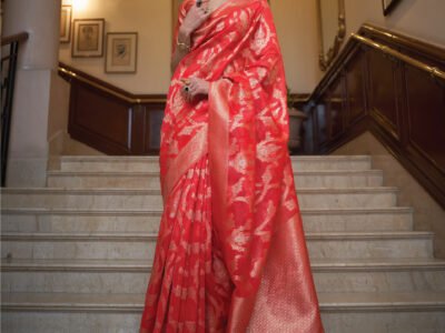 RED ORGANZA SAREE